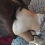 black man and white woman fucking doggystyle